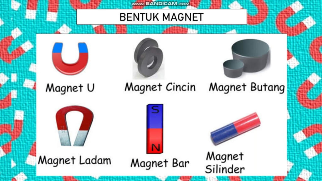 magnet
